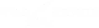 Weldservisas